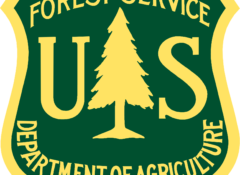 Logo_of_the_United_States_Forest_Service.svg