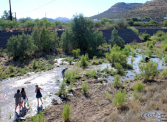 santa_cruz_river_release_1_twitter