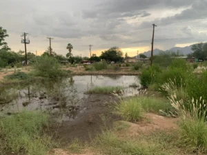 Palo Verde Stormwater Park